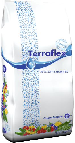 Фото: Terraflex ГФ (10-11-32+3MgO+TE)