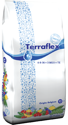 Фото: Terraflex Финал (4-8-36+3MgO+TE)