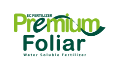 Фото: Premium Foliar
