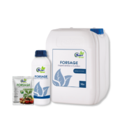 Фото: SmartGrow FORSAGE