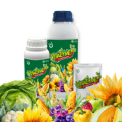 Фото: VITAZYME BIO