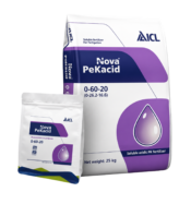 Фото: Nova PeKacid (ICL)