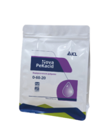 Фото: Nova PeKacid (ICL)