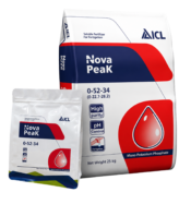 Фото: Nova PeaK (ICL)