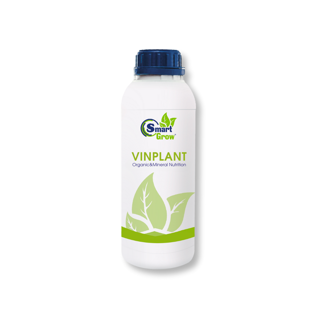 SmartGrow VINPLANT