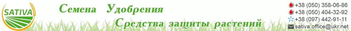 ТОВ ТД 